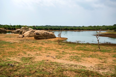 Landscape of Yala National Park, Sri Lankaの写真素材