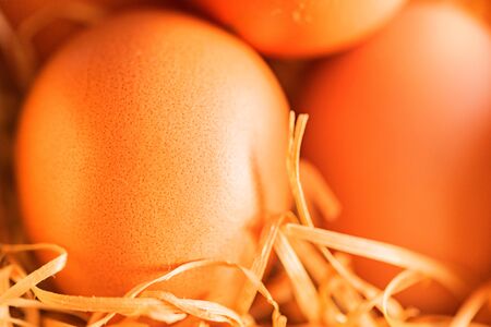 Fresh farm brown eggs on rustic background