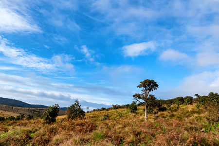 Scenic view in Horton Plains, Sri Lankaの写真素材