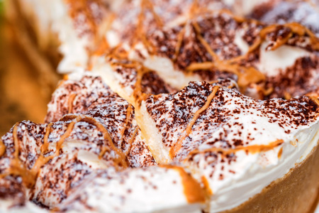 Close up of delicious cake with sugar and cocoa powder