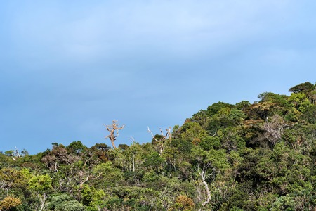 Scenic view in Horton Plains, Sri Lanka