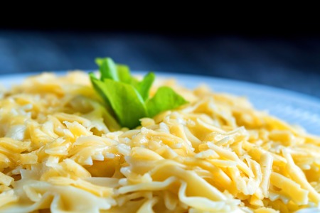 Traditional Italian pasta or fussili with cheeseの写真素材