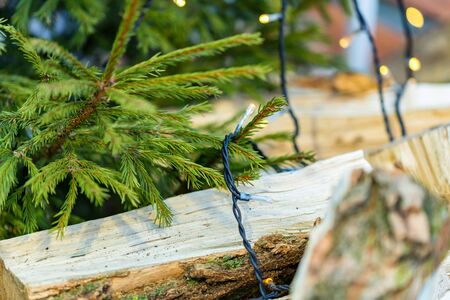Colorful Christmas decorations on tree