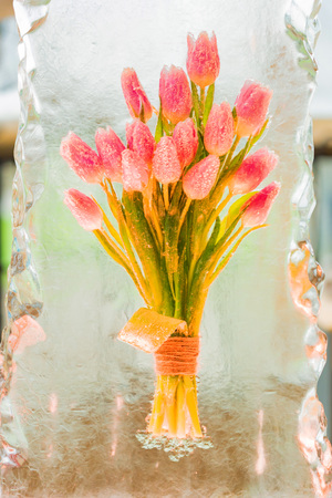 Decorative bunch of tulips in iceの写真素材