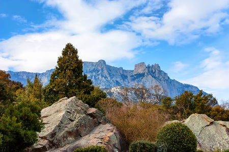 Beautiful landscape with rocks and trees in Crimea