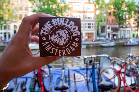 AMSTERDAM, THE NETHERLANDS - JUNE 10, 2014: Hand holds marijuana cupcake from Bulldog coffee shopのeditorial素材