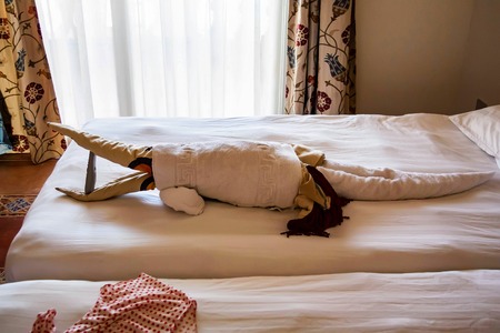 Crocodile towel for welcome gift folded towelの写真素材