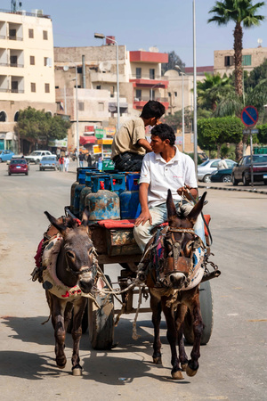 HURGHADA, EGYPT- FEBRUARY 22, 2010: Two unidentified mule riders on cartのeditorial素材