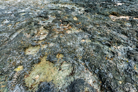 Soil at ow tide on beach in Zanzibar close