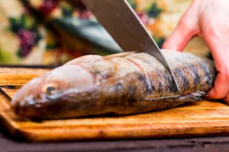 Cutting zander on wooden board closeの写真素材