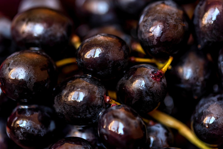 Close up image of red grapes with water drops for backgroundの写真素材
