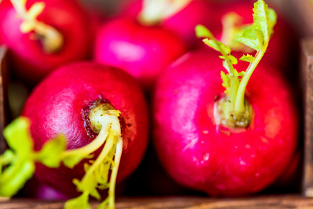 Fresh red radishes in wooden box close