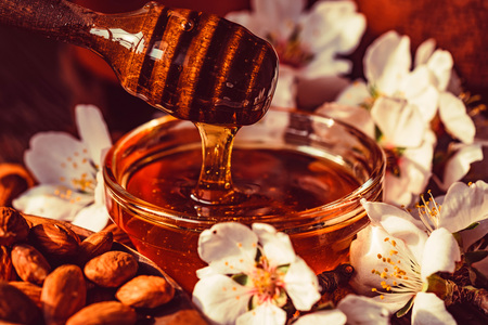 Almond honey, nuts and white flowers closeの写真素材