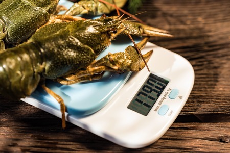 Raw crayfish with beer on wooden backgroundの写真素材