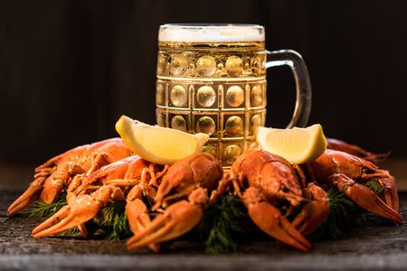 Boiled crayfish with beer on wooden backgroundの写真素材