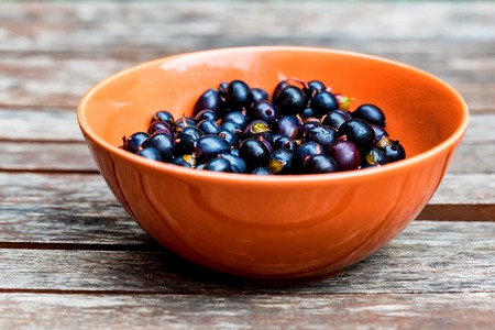 Ripe blackcurrant in glass bowl closeの写真素材