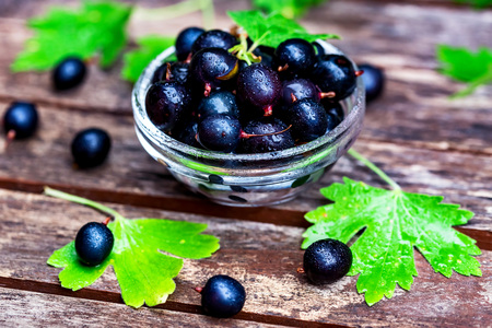 Ripe blackcurrant in glass bowl closeの写真素材
