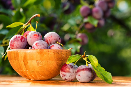 Fresh cherry plums in wooden bowl close
