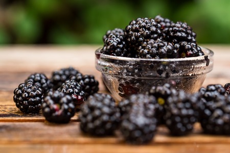 Fresh ripe blackberries in bowl on wooden tableの写真素材