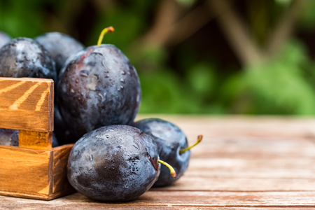 Fresh ripe plums in wooden box closeの写真素材