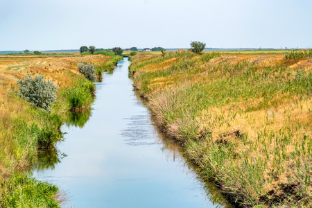 Ditch in field. Beautisul summer landscape