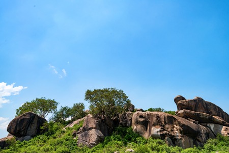 Beautiful view of nature in savannah in Tanzaniaの写真素材