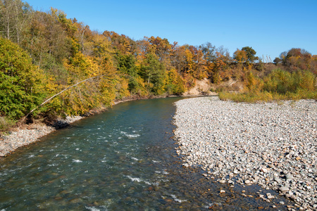 Fall landscape with mountain river and forest