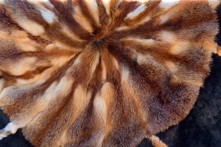 Carpet made of animal fur skin sewn into a circle, backgroundの写真素材