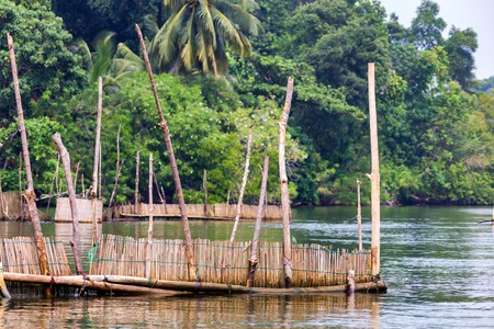 Beautiful landscape of river and wooden constructions in Sri Lankaの写真素材