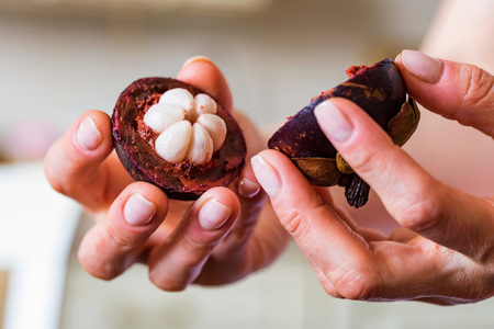 Close up halves of fresh mangosteen fruit in womans handの写真素材