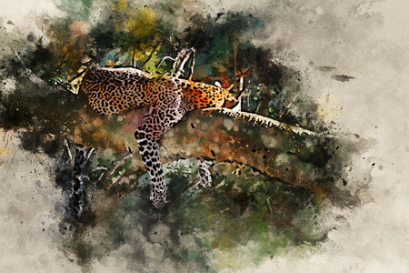 Watercolor painting of sleeping leopard on a treeの写真素材
