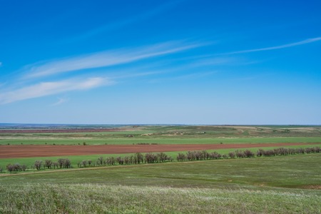 Beautiful picturesque spring landscape with green steppe