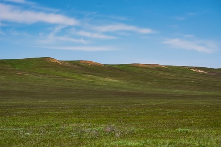 Beautiful picturesque spring landscape with green steppe and blue sky