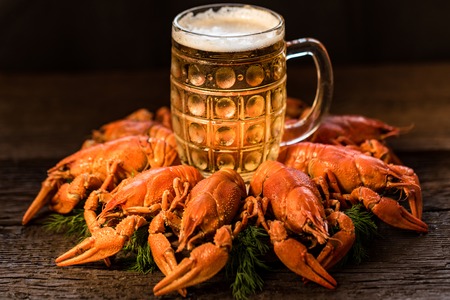 Boiled crayfish with beer on woodenの写真素材