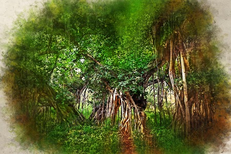 Watercolor painting of scenic view of jungle with Indian banyan