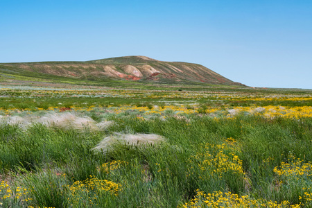 Amazing distant landscape of mountain Big Bogdo and blooming steppe against sky. Russia