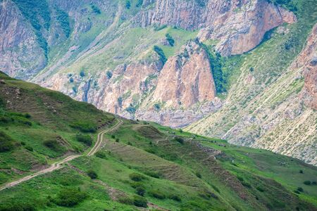 Beautiful summer landscape of green pasture in mountainsの写真素材