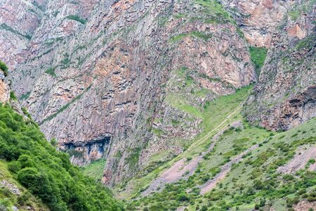 Beautiful summer landscape of green pasture in mountainsの写真素材