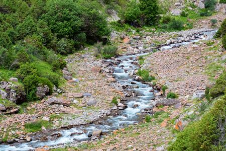 Beautiful view of narrow mountain river in summer
