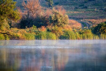 Peaceful landscape with green sunlit trees and cane on river bank