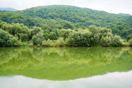 Peaceful landscape with green trees on river bank in steppeの写真素材