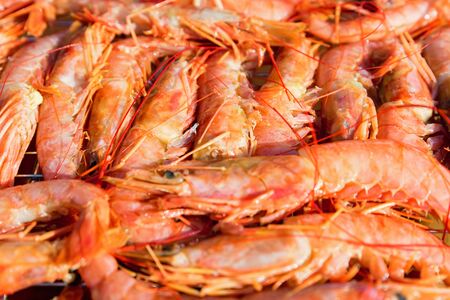 Fresh raw langoustines close up as a backgroundの写真素材