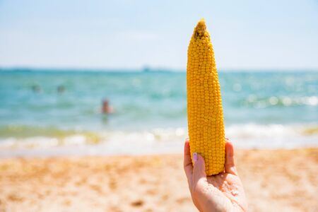 Hand holds boiled corn on sunny beachの写真素材