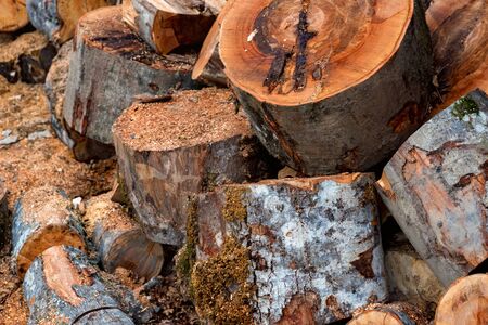 Wood depot with bundle of firewood in a villageの写真素材