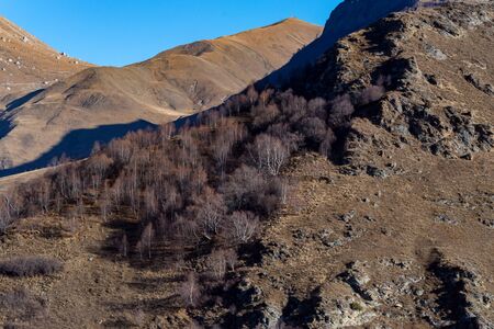 Late fall landscape of mountains in Russia with bare treesの写真素材
