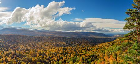 Scenic panorama of autumn forest in mountainsの写真素材