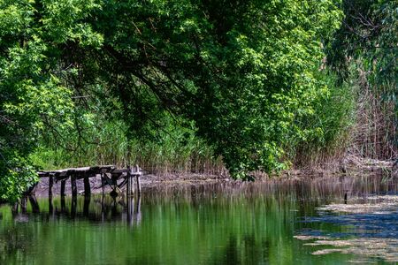 Mooring pier for a small boat. Summer riverの写真素材
