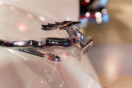 KAMENSK-SHAKHTINSKY, RUSSIA - 25 OCTOBER 2020: silver deer on white Volga carのeditorial素材