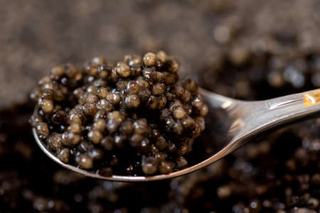 Metal spoon with black sturgeon caviar, macro