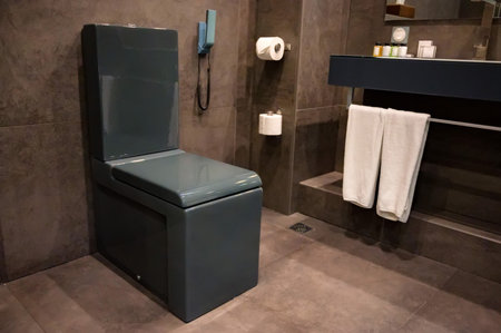 Close up of black flush toilet bowl in lavatory